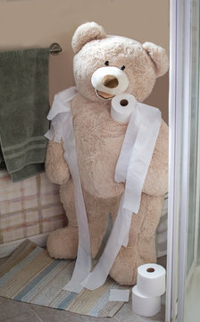 Big Bear In The Bathroom Hoarding All The Toilet Paper