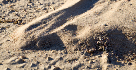 details sand