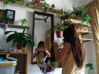 Green houseplants in the house. Greenery plant shelfie concept.