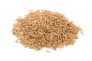 paddy isolated on a white background