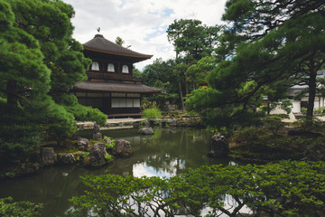 Historic Japanese Temple in a Calming Zen Forest Background with a Pond and Well Maintained Trees