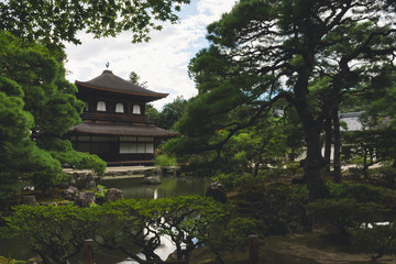 Historic Japanese Temple in a Calming Zen Forest Background with a Pond and Well Maintained Trees