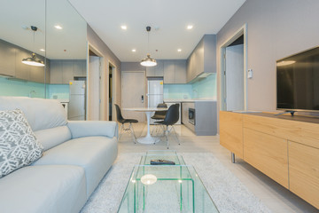 Interior, beautiful apartment, luxurious living room