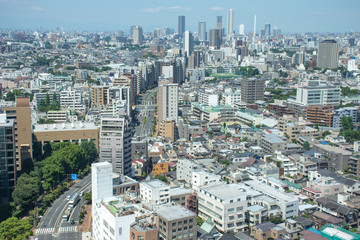Urban Metropolitan Cityscape in Tokyo, Japan with busy skyline and dense vibrant buildings 