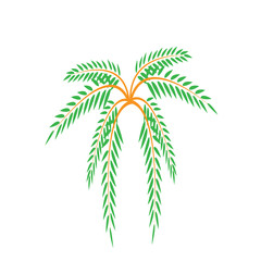 coconut leaf illustration simple design vector