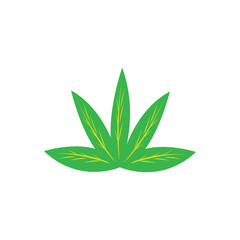 mint leaf color vector design icon