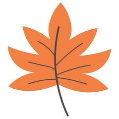 autumn leaf plant icon