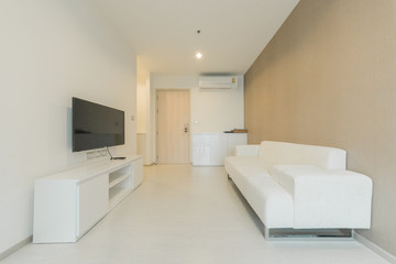Fototapeta na wymiar Interior, beautiful apartment, luxurious living room