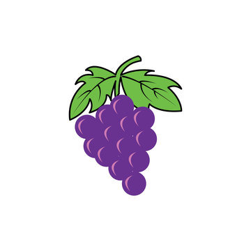 grapes colorful icon vector design