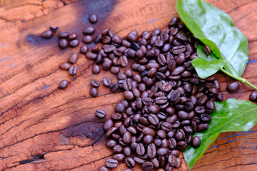 close up coffee bean on wood background and space for text