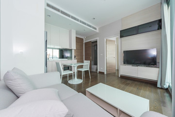 Interior, beautiful apartment, luxurious living room