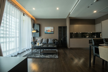 Modern living room and kitchen in small apartment 