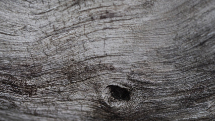 Selective focus, old rustic wood texture with natural pattern, surface nature for background