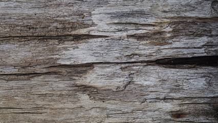 Selective focus, old rustic wood texture with natural pattern, surface nature for background