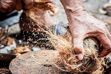 Hands peeling coconut,Brown lifestyle