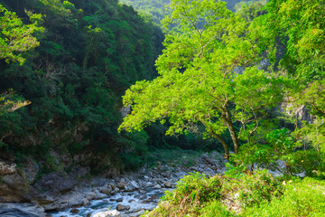 Fototapeta premium Valley Stream of Shakabang Stream, Taroko Scenic Area, Hualien, Taiwan