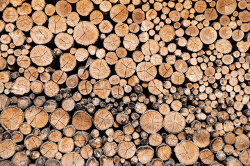 Regularly arranged firewood for background