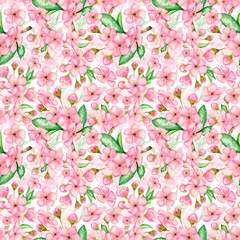 Watercolor seamless pattern of cherry blossoms on a white background. Hand-drawn illustration.