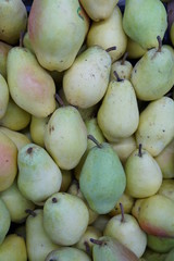 Fresh Organic pear stock photo
