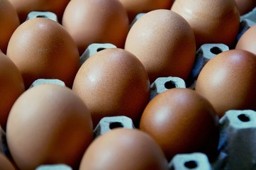 Slective focus of fresh chicken eggs on trays for sale at a supermarket ready to be picked up by a customer