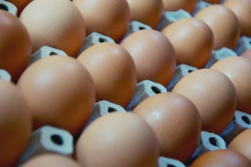 Slective focus of fresh chicken eggs on trays for sale at a supermarket ready to be picked up by a customer