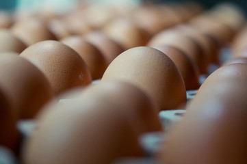 Slective focus of fresh chicken eggs on trays for sale at a supermarket ready to be picked up by a customer