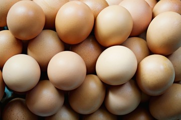 Slective focus of fresh chicken eggs on trays for sale at a supermarket ready to be picked up by a...