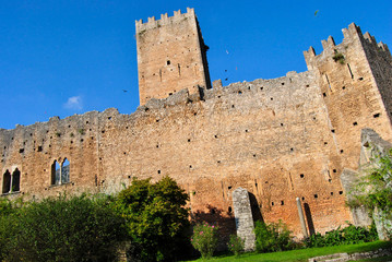 Obraz premium Garden of Ninfa