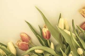 Delicate holiday, women's day.