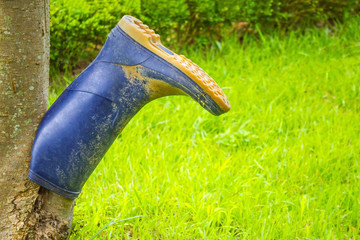 Rubber boot, green grass.