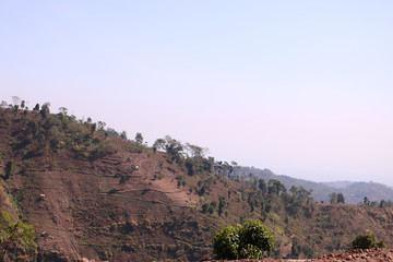 panoramic view of grand canyon