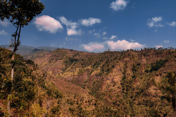 panoramic view of grand canyon