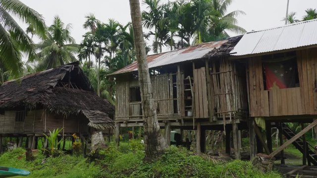 Sliding shot, scenic view of wooden huts, palm trees in the background  in Kanganaman Village, Sepik Region, Papua New Guinea