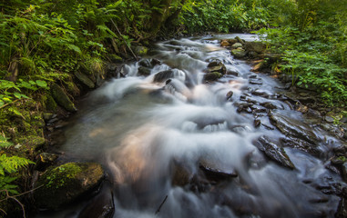 schoenes weiches wasser von einem wildbach im wald