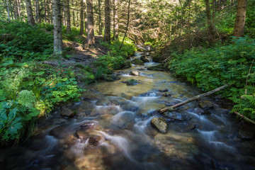 Naklejka na ściany i meble kleiner bach im wald beim wandern im sommer