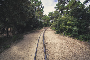 Railway in forest