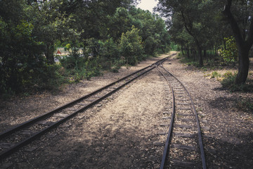 Fototapeta premium Railway in forest