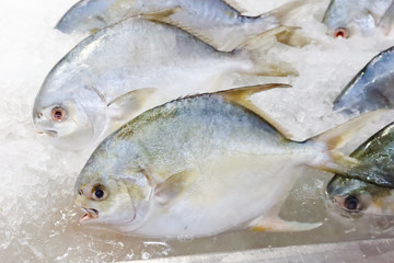 Buying fresh seafood. In the value center