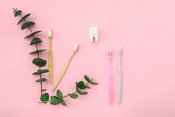 Composition with tooth brushes on color background