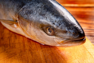 head of raw mackerel. prepare dishes from fish.