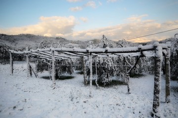 cold springstime in the Tuscan countryside on March 25, 2020