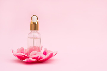 Natural essential aromatic oil in pink flower on light pink background with a copy space.