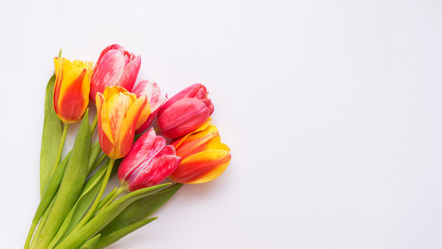 Spring flower pink and yellow tulips bouquet isolated on white background with a copy space