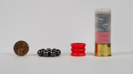 12 gauge shotgun ammunition on a white background