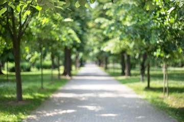 Fototapeta na wymiar blurred path in the park