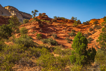 Southwest usa Zion National Park The main part of the park is Zion Canyon surrounded by the walls...