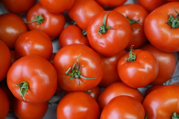 full frame tomato stock photo