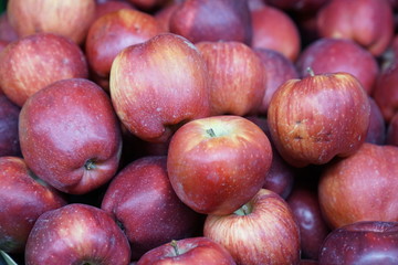 full frame apple