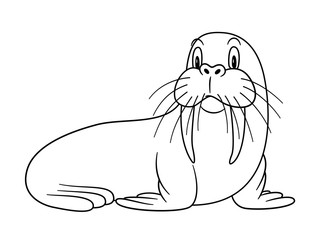 Cartoon Animal Walrus. Raster illustration. For pre school education, kindergarten and kids and children. Coloring page and books, zoo topic. With smiling happy face, friendly arctic and polar mammal