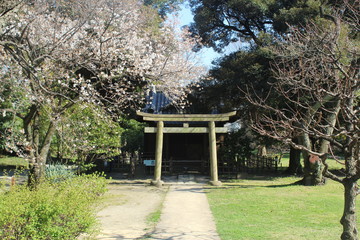 Shrine at Hamarikyu Gardens quite and relaxing